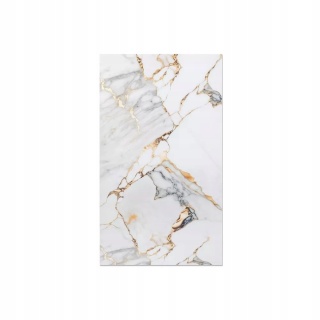 Płyta ŚCIENNA Panel ścienny PVC CARRARA GOLD 280x122x0,3cm POŁYSK