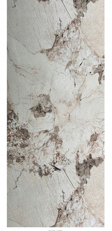 Płyta ŚCIENNA Panel ścienny PVC PATAGONIA BEIGE 280x122x0,3cm POŁYSK