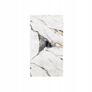 Płyta ŚCIENNA Panel ścienny PVC VENATO WHITE 280x122x0,3cm POŁYSK