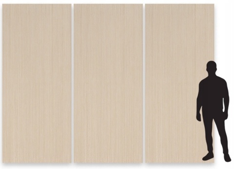 Płyta Węglowa Panel PVC Light Wood 280x122x0,5cm WOOD