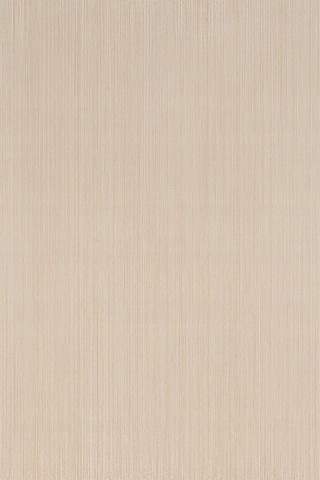 Płyta Węglowa Panel PVC Light Wood 280x122x0,5cm WOOD