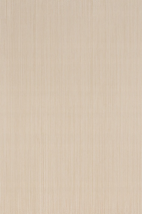 Płyta Węglowa Panel PVC Light Wood 280x122x0,5cm WOOD