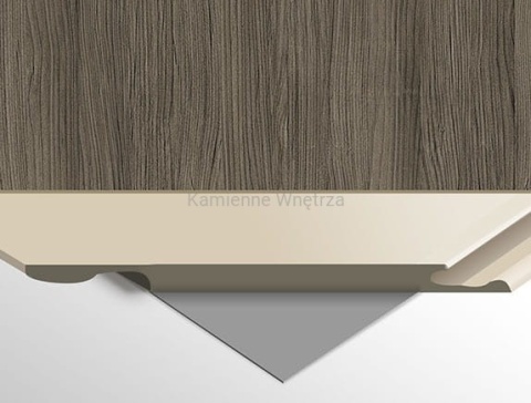 Płyta Węglowa Panel WPC Dark Wood 280x112x0,8cm MATOWA FastClick