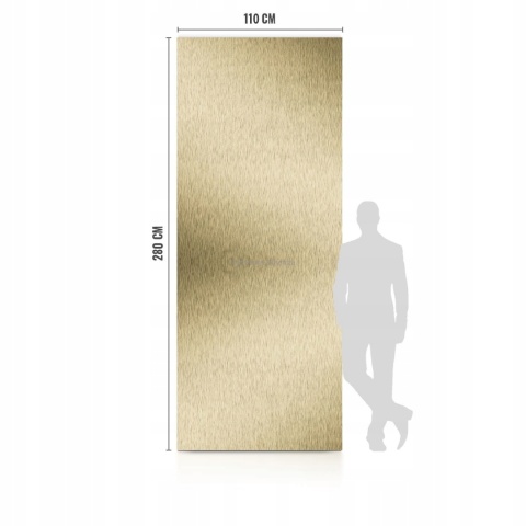 Płyta Węglowa Panel WPC Gold Disk 280x110x0,5cm POŁYSK BASIC