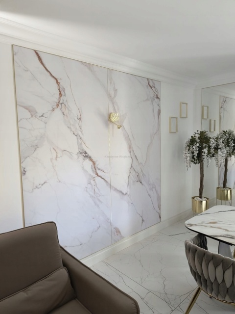 Płyta Węglowa Panel WPC Gold Vein 280x112x0,5cm Matowa PREMIUM