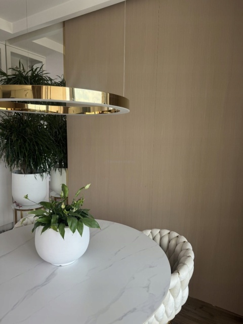 Płyta Węglowa Panel WPC Light Wood 280x112x0,8cm MATOWA FastClick