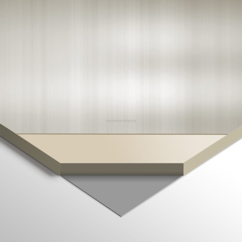 Płyta Węglowa Panel WPC Silver Plate 280x110x0,5cm POŁYSK BASIC