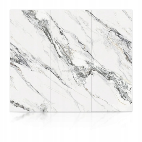 Płyta Węglowa Panel WPC Statirro 280x112x0,5cm POŁYSK PREMIUM