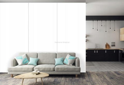 Płyta Węglowa Panel WPC White 280x110x0,5cm BŁYSZCZĄCA BASIC