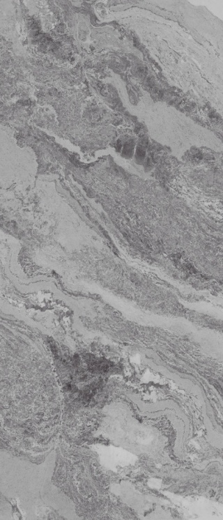 Płyta węglowa WPC/SPC RW-FANTASY GREY 280x110cm 280x110x0,5cm MATOWA