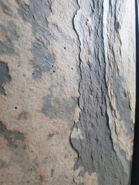 Kamień w rolce Fornir kamienny Naturalny Autumn Rustic 122x61x0,2 cm