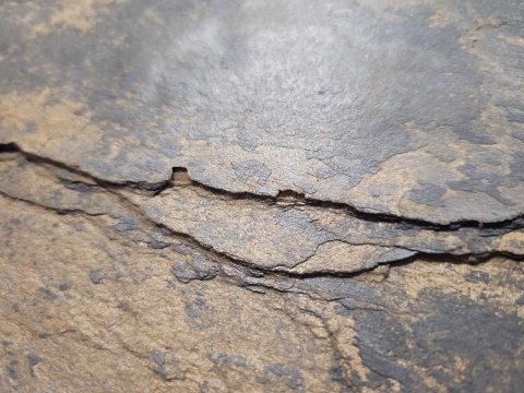 Kamień w rolce Fornir kamienny Naturalny Black Slate Gold 122x305x0,2 cm