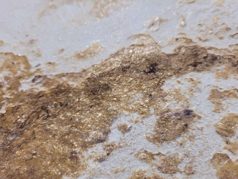 Kamień w rolce Fornir kamienny Naturalny Golden PEARL 122x61x0,2 cm