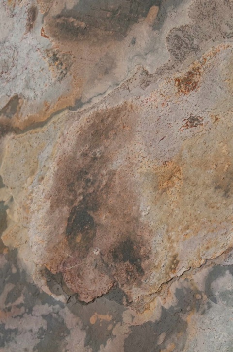 Kamień w rolce Fornir kamienny Naturalny Seul Macedonia 122x244x0,2cm