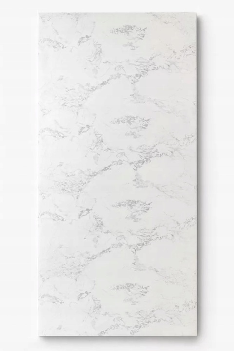 Płyta ŚCIENNA Panel wodoodporny PVC ALEXIA WHITE 280x122x0,3cm MATOWA