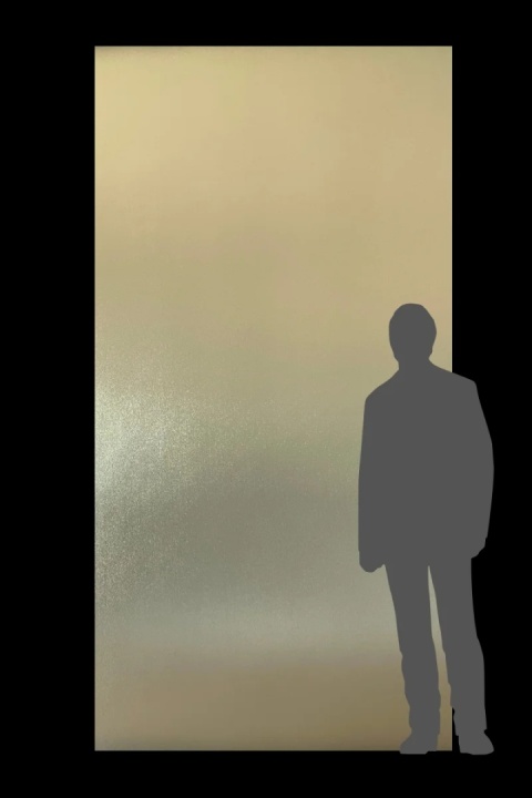 PŁYTA WPC DREWNOPODOBNA Champagne Mist 280X122 MATOWA