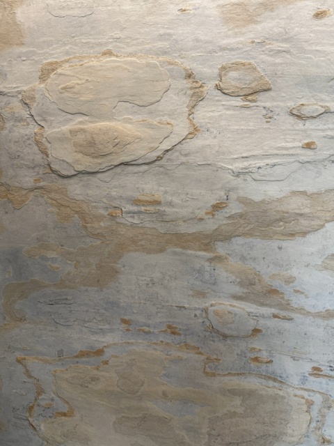 Kamień w rolce Fornir kamienny Naturalny EVORA BEIGE 122x305x0,3 cm