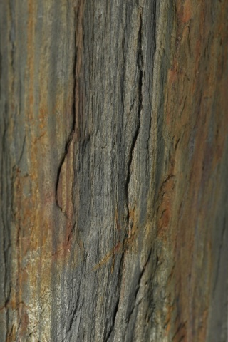 Kamień w rolce Fornir kamienny Naturalny FOREST 122x61x0,3 cm