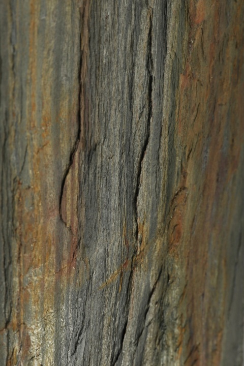 Kamień w rolce Fornir kamienny Naturalny FOREST 122x61x0,3 cm