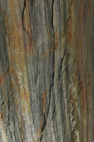 Kamień w rolce Fornir kamienny Naturalny FOREST 122x61x0,3 cm