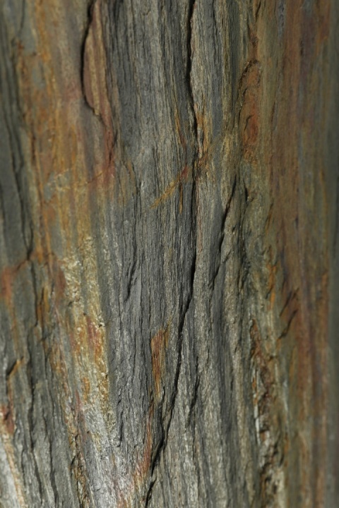 Kamień w rolce Fornir kamienny Naturalny FOREST 122x61x0,3 cm
