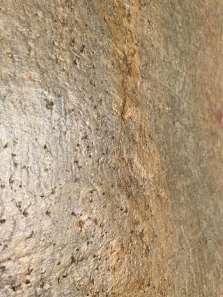 Kamień w rolce Fornir kamienny Naturalny NEVA GOLD 122x244x0,3 cm