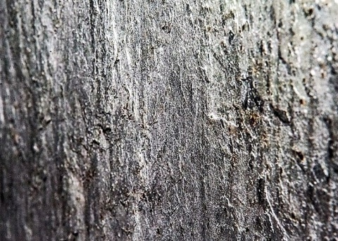 Kamień w rolce Fornir kamienny Naturalny OCEAN BLUE 122x61x0,2cm