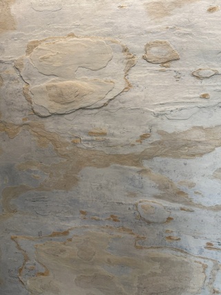 PRÓBKA Kamień w rolce Fornir kamienny Naturalny EVORA BEIGE 30x20x0,3 cm