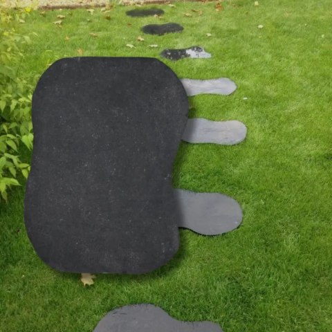 Kamień na ścieżki | Płytki ogrodowe Kadappa Black Limestone Natural t/h 40x60 2-4 cm