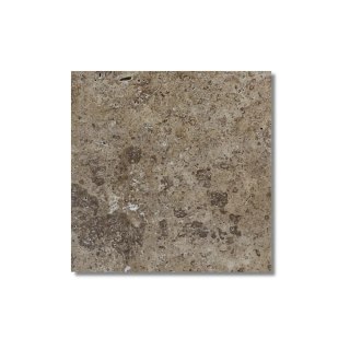 Trawertyn Noce CC Niewypełniony Szlif Bębnowany 20,3x20,3x1,2 cm