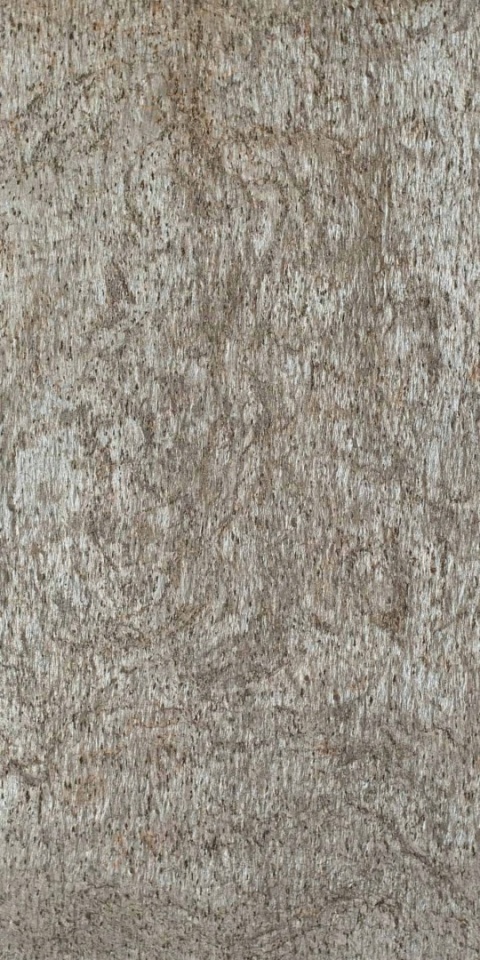 PRÓBKA Fornir kamienny Naturalny Silver Shine Gold 10X15x0,2 cm